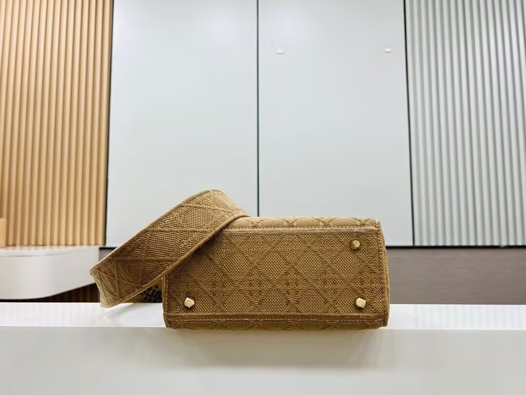 D*or medium lady d-lite bag 24x20x11cm