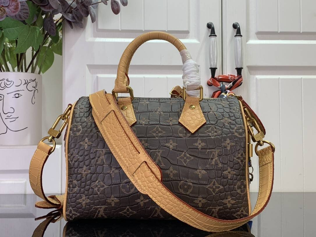 LV Speedy P9 25 N87504 25x15x15cm