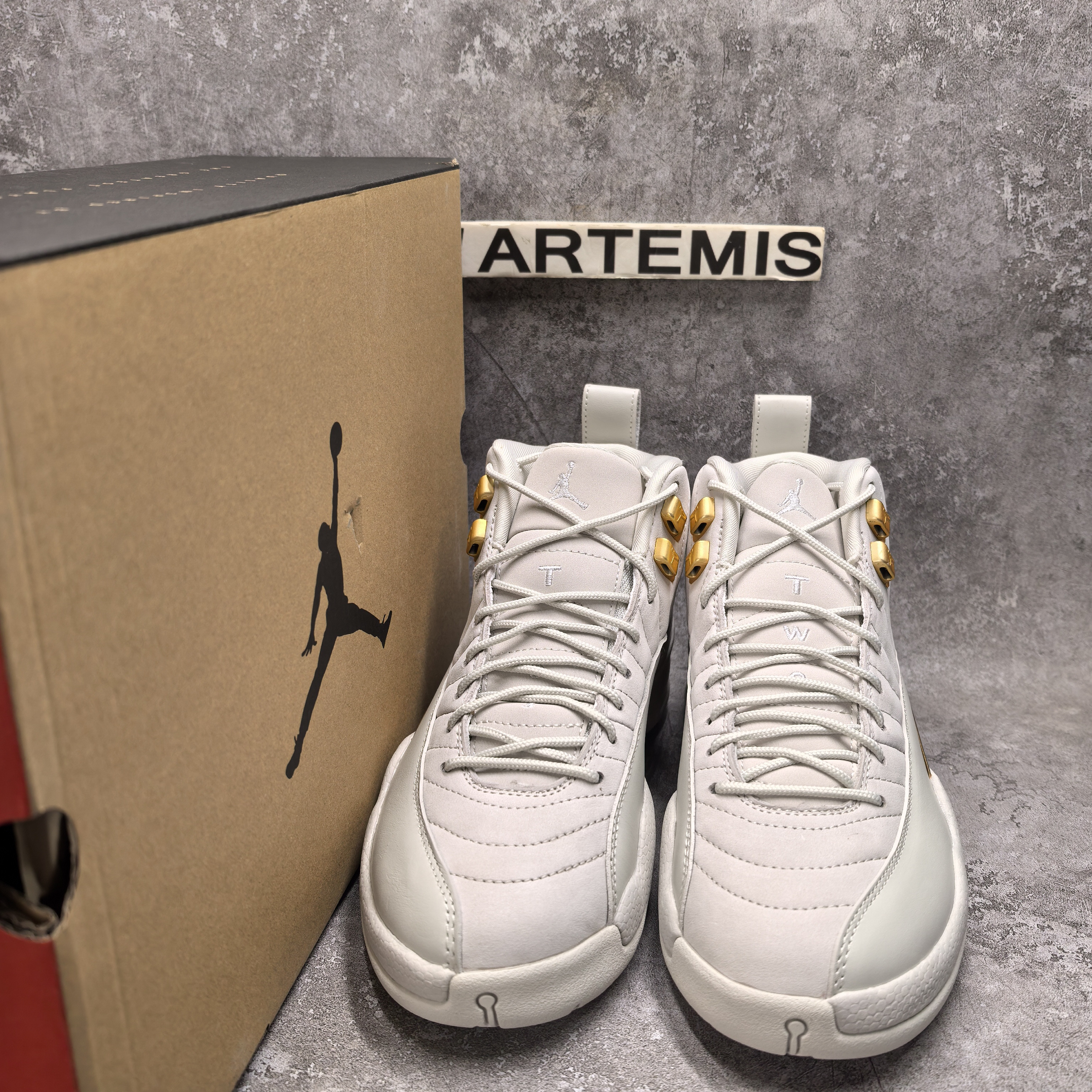 UA Jordan 12 Retro