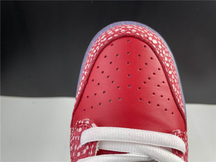 Nike Dunk SB Low Stingwater Magic Mushroom DH7650-600