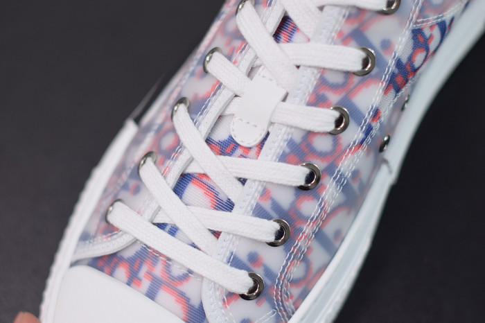 DR B23 OBLIQUE LOW TOP “CD Ghosting"