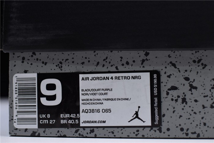 Air Jordan 4 Retro NRG “Raptors" AQ3816-065