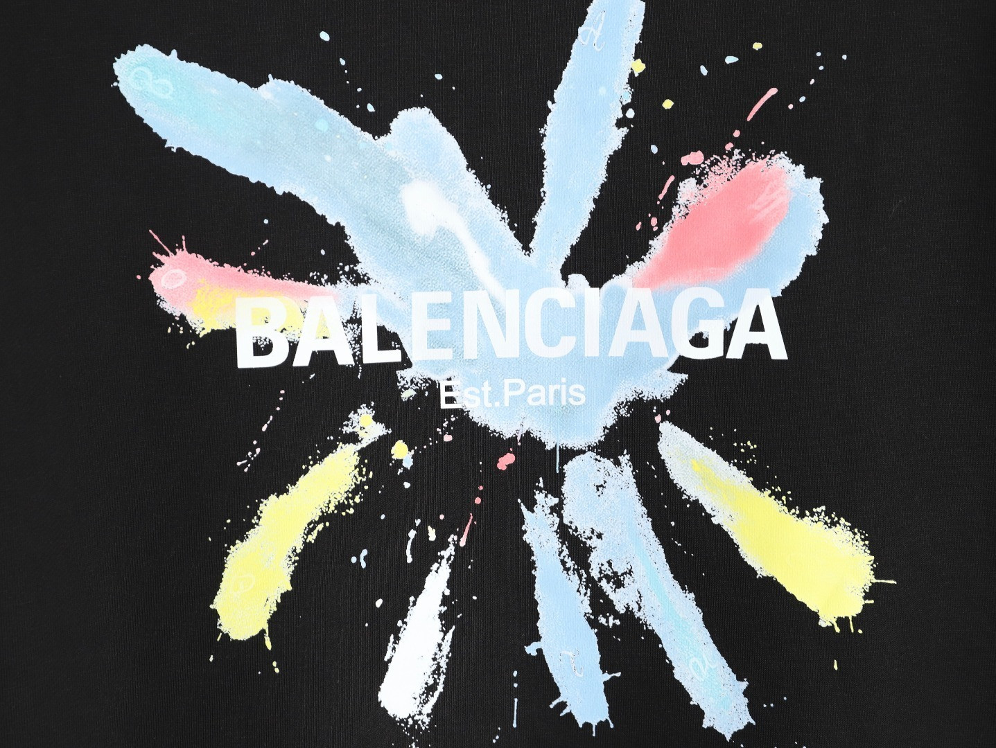 Ba1en*iaga 25FW Hoodies