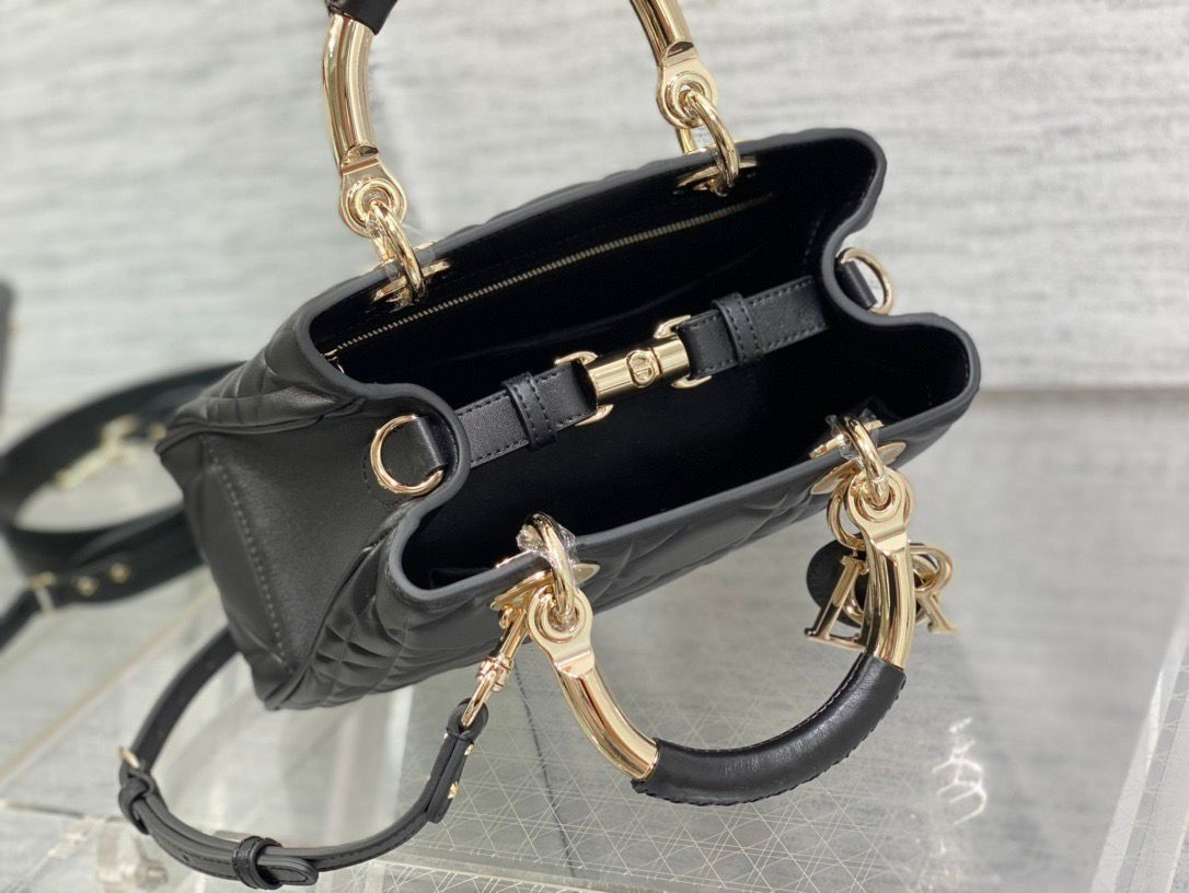 D10r Lady Handbag 24x18x10cm