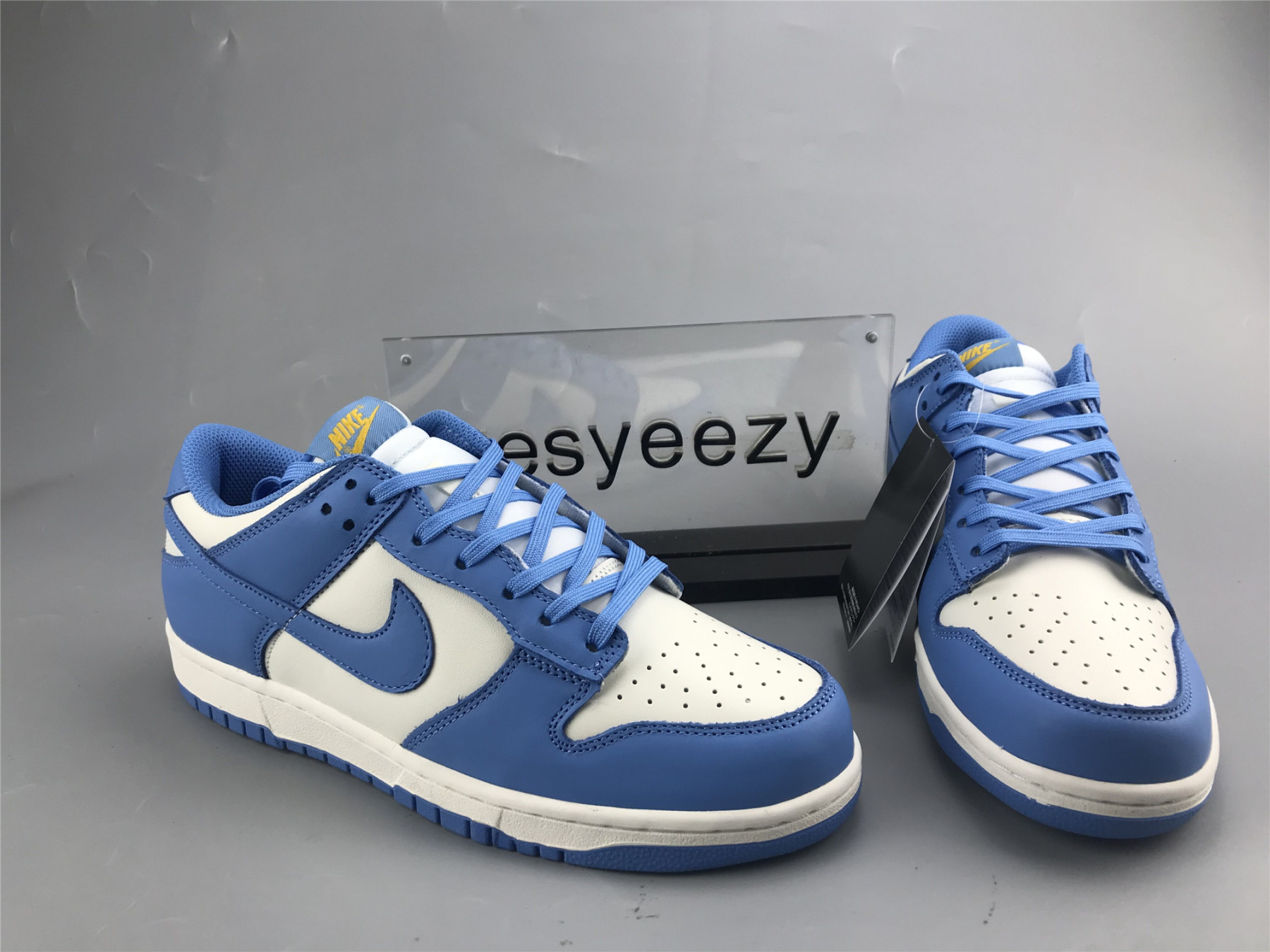 UA NIKE DUNK LOW 