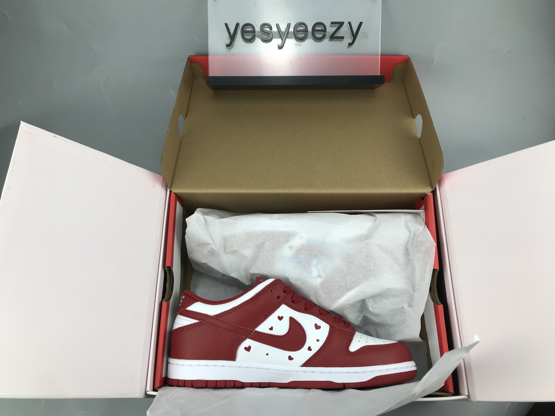 UA NIKE DUNK LOW SP 