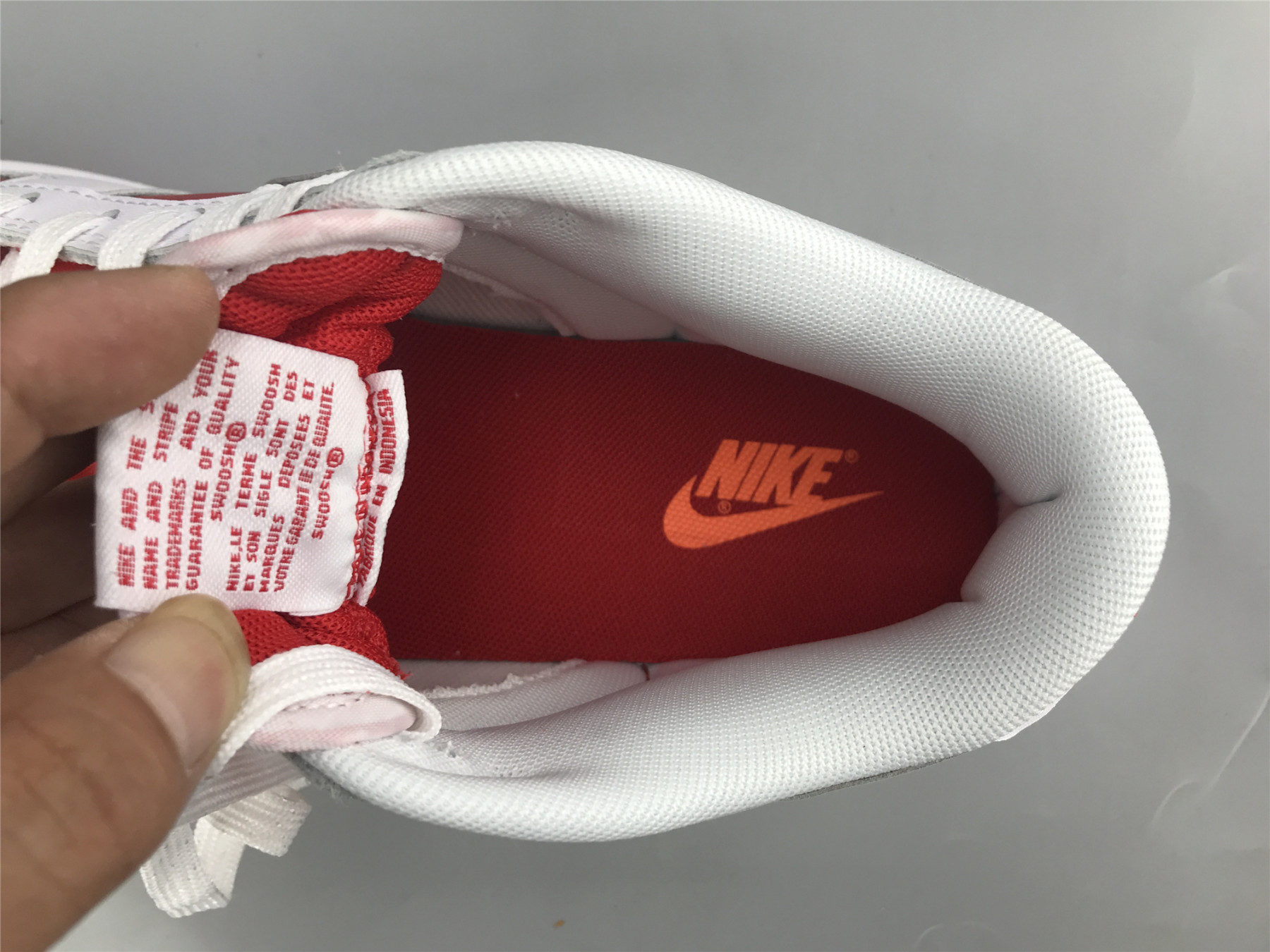UA NIKE DUNK LOW 