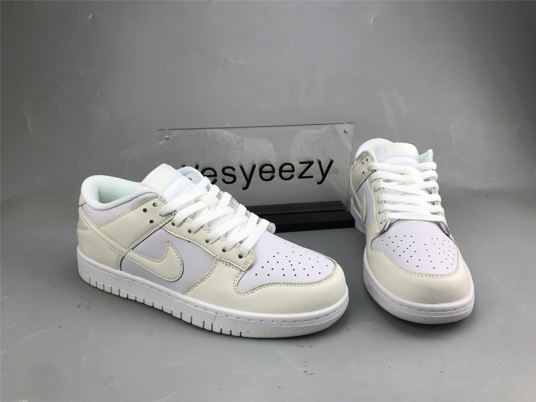 UA NIKE DUNK LOW 