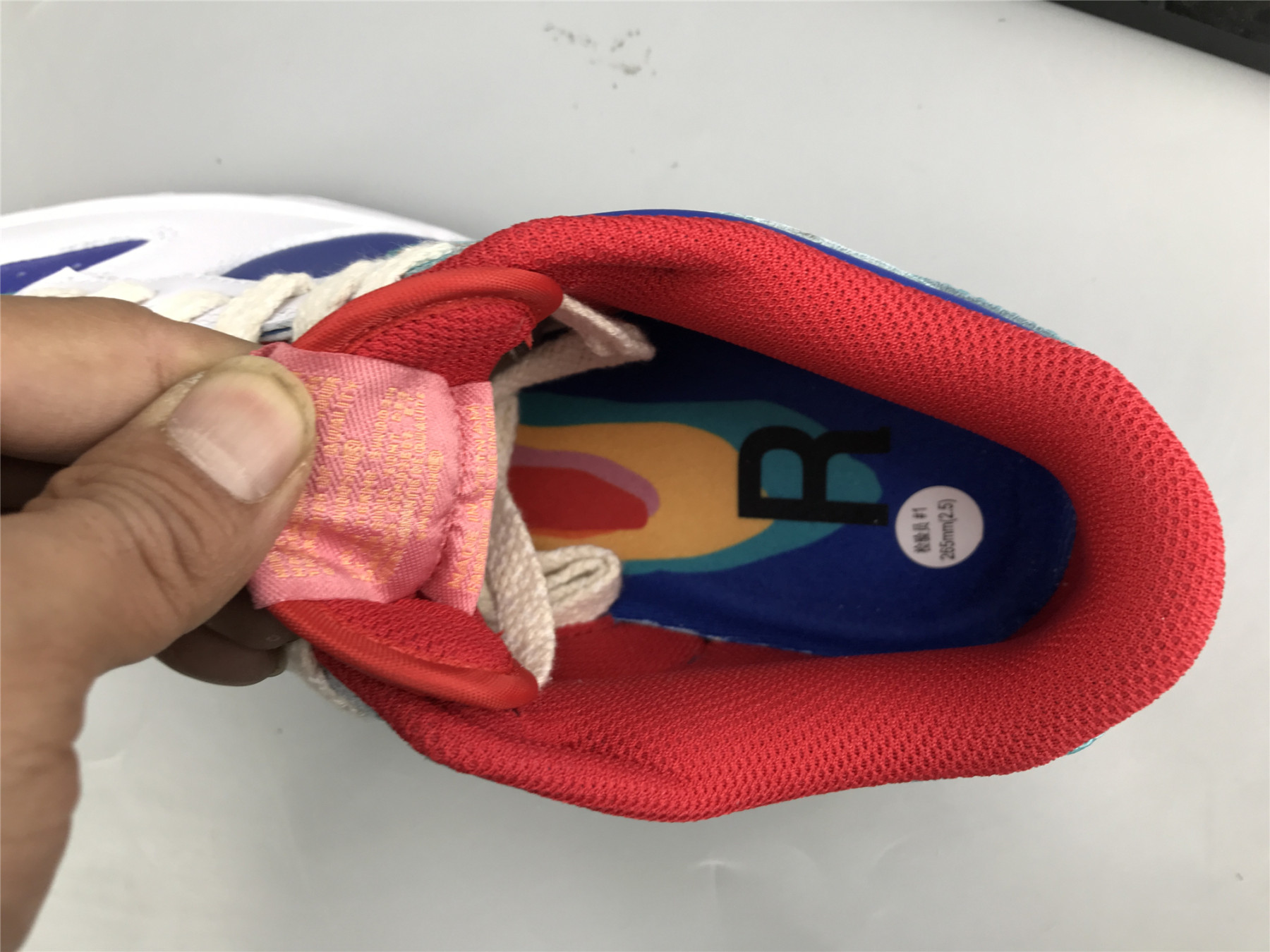 UA NIKE SB DUNK LOW RAINBOW X CACTUSPLANTFLEAMARKET