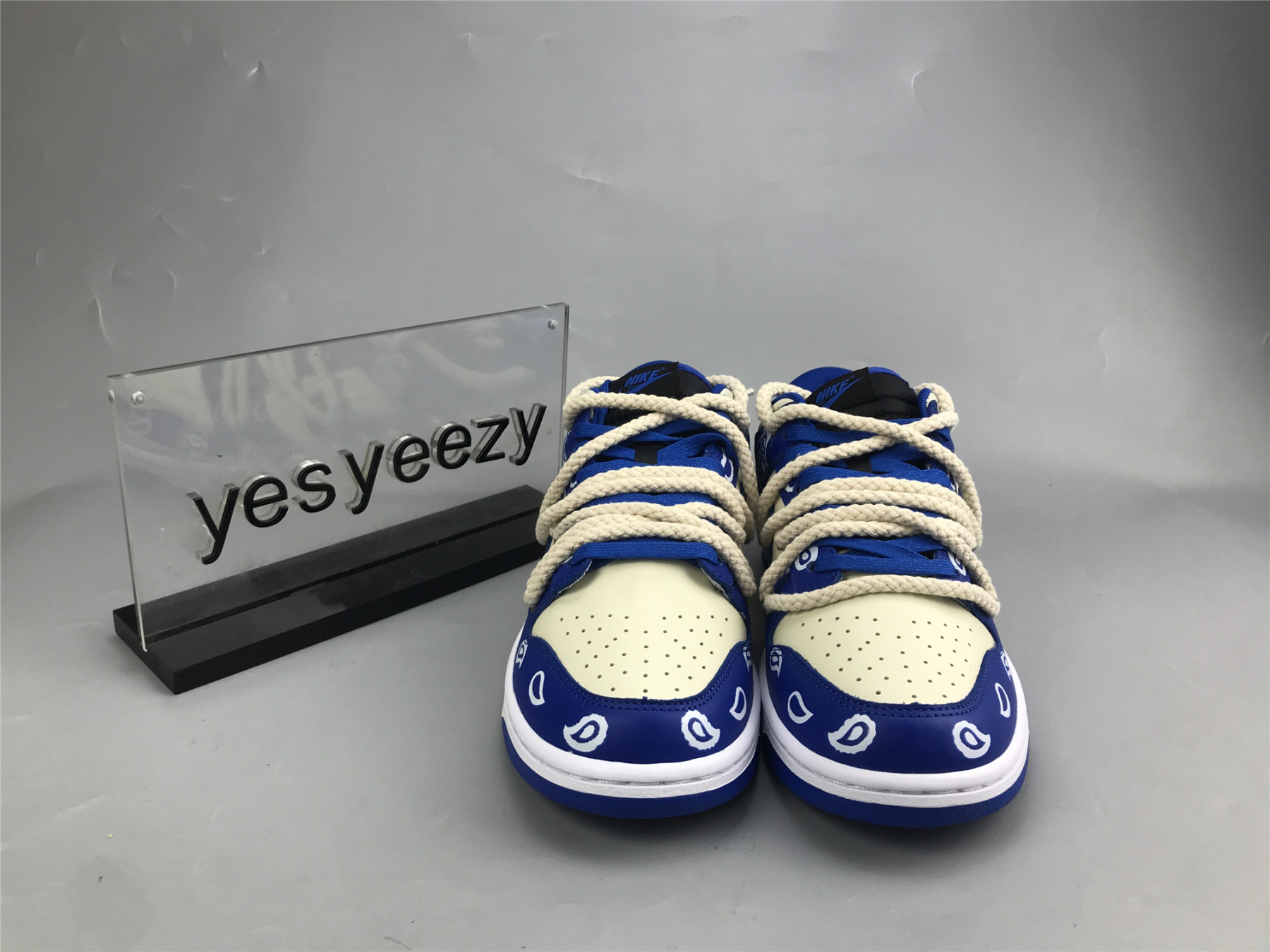 UA NIKE DUNK LOW 