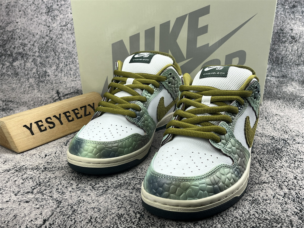 UA Nike SB Dunk Low