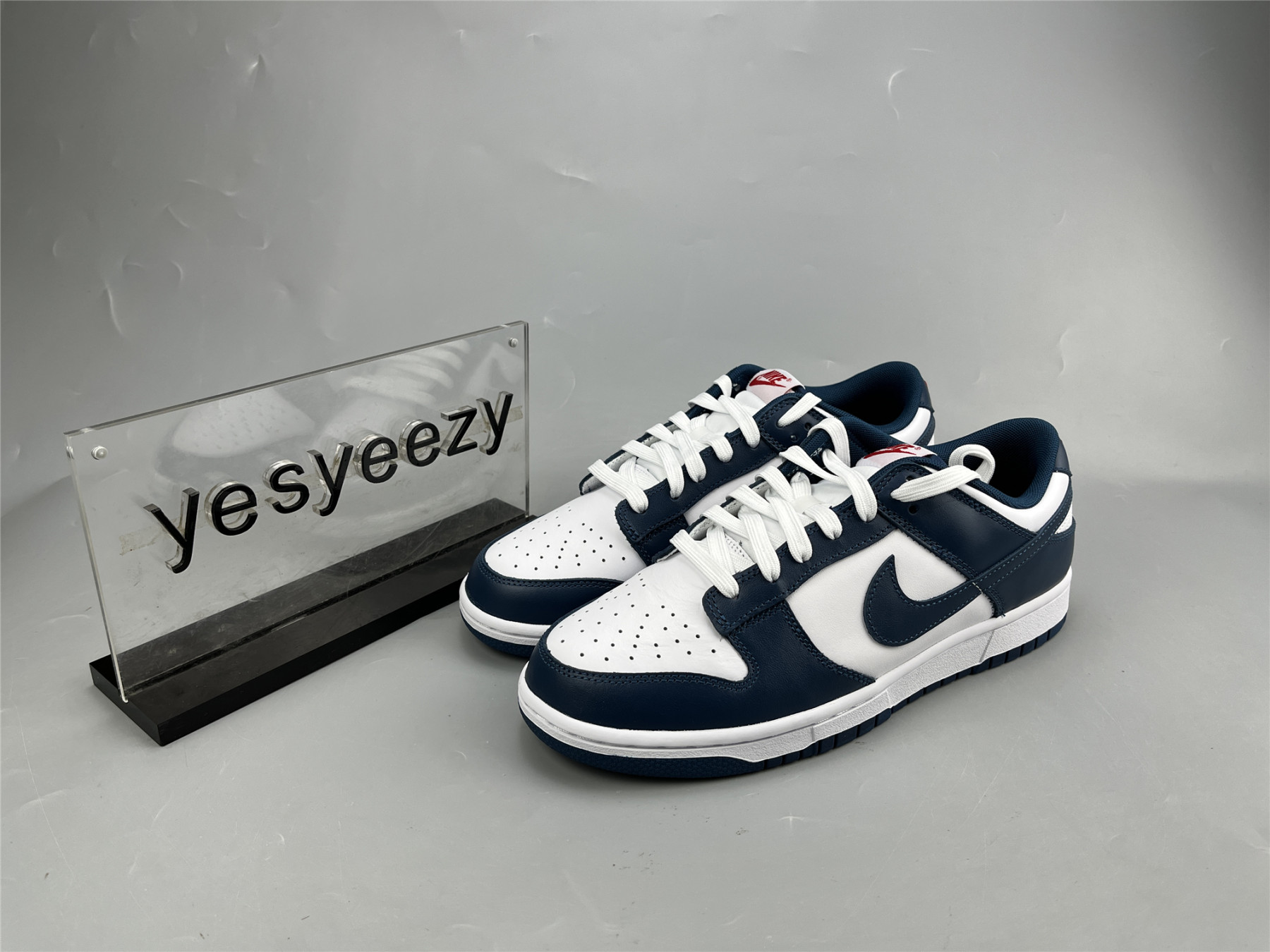 UA NIKE DUNK LOW 