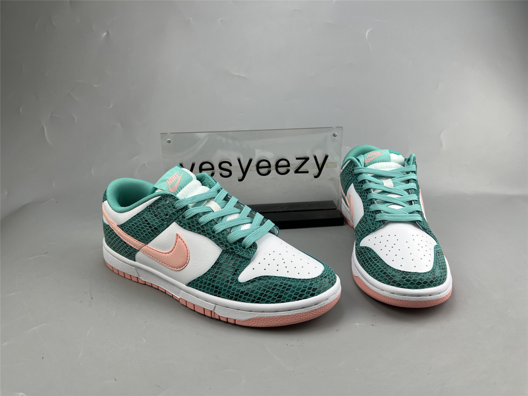 UA NIKE DUNK LOW 