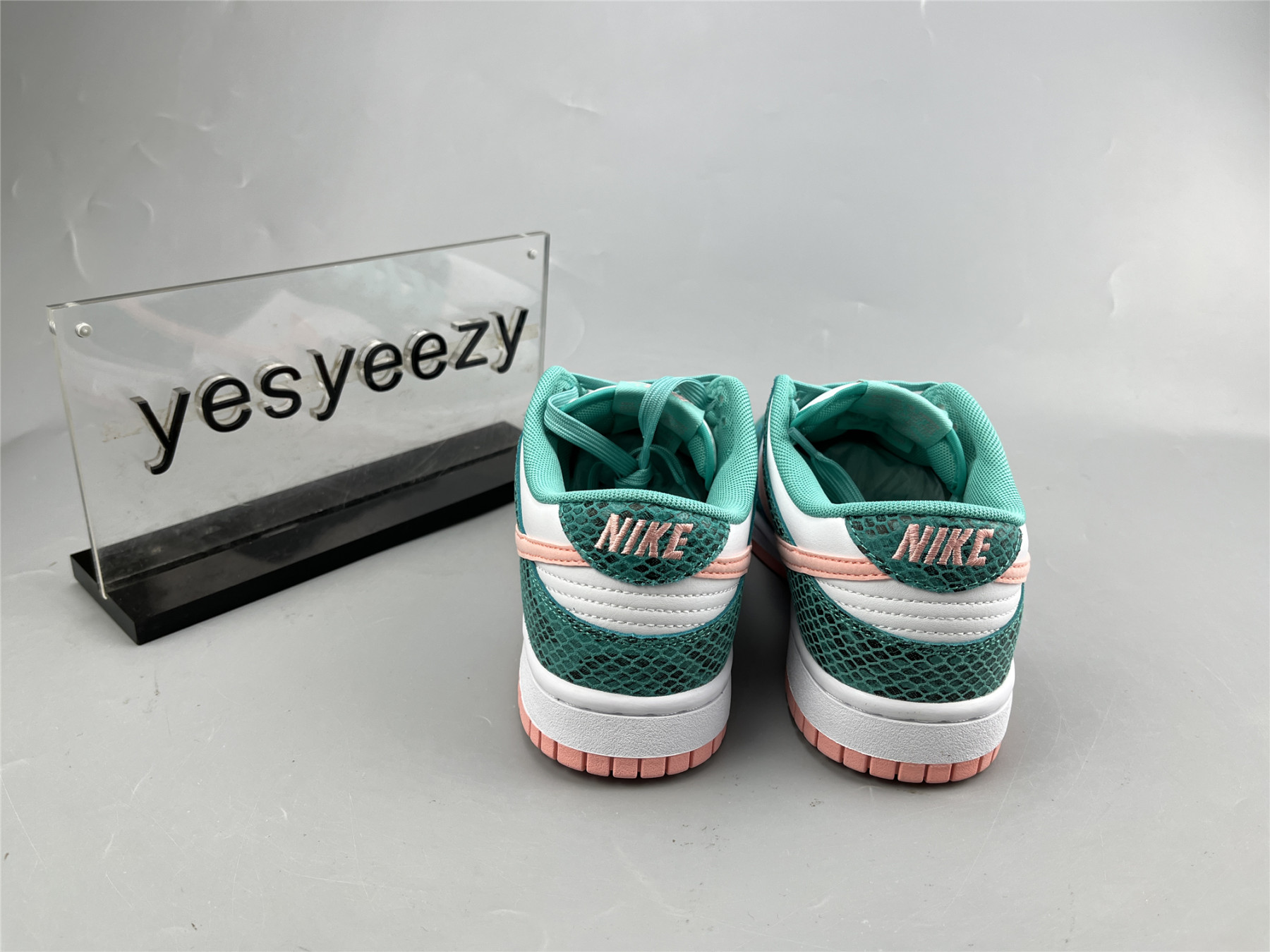 UA NIKE DUNK LOW 