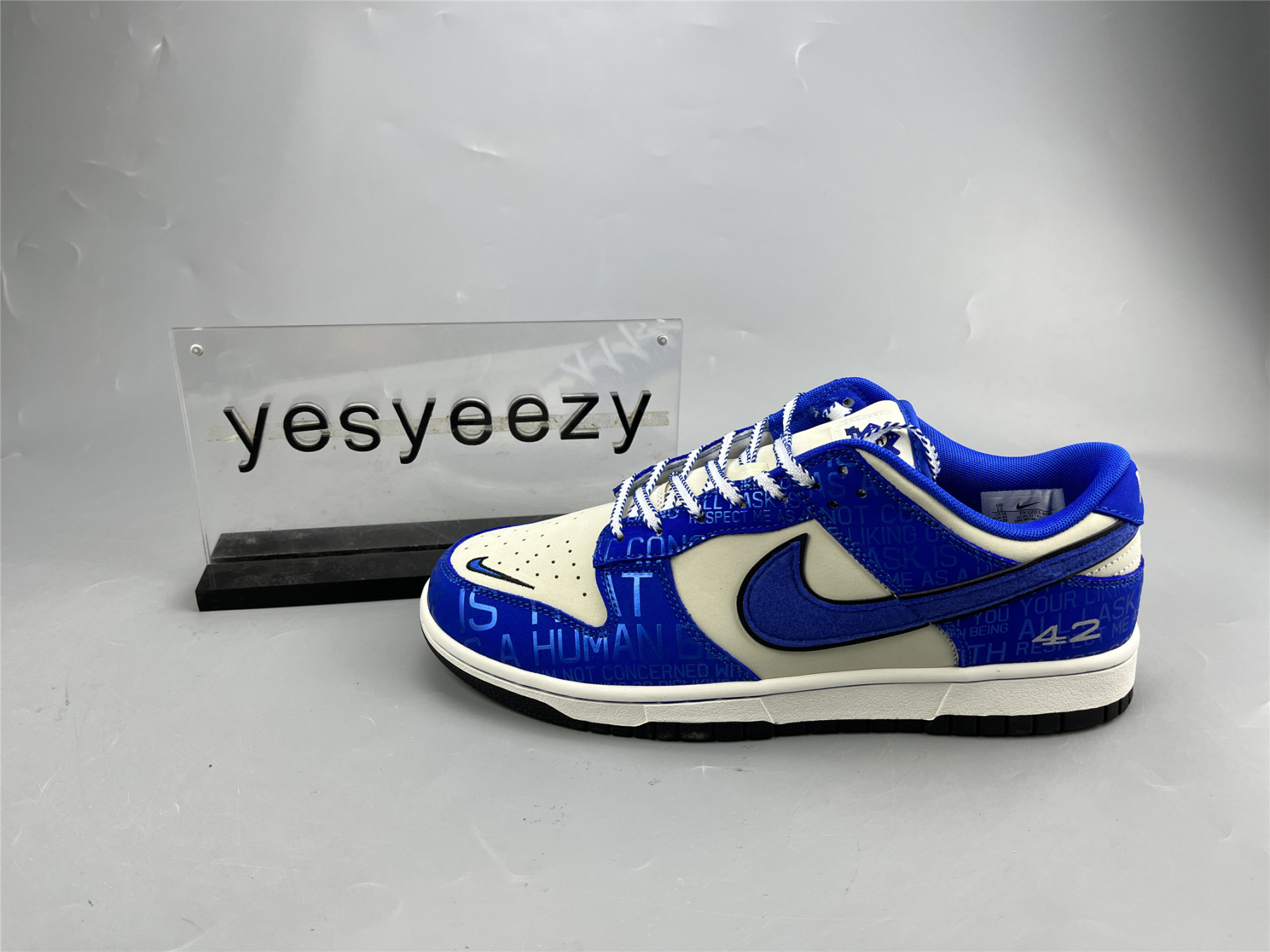 UA NIKE DUNK LOW GS 