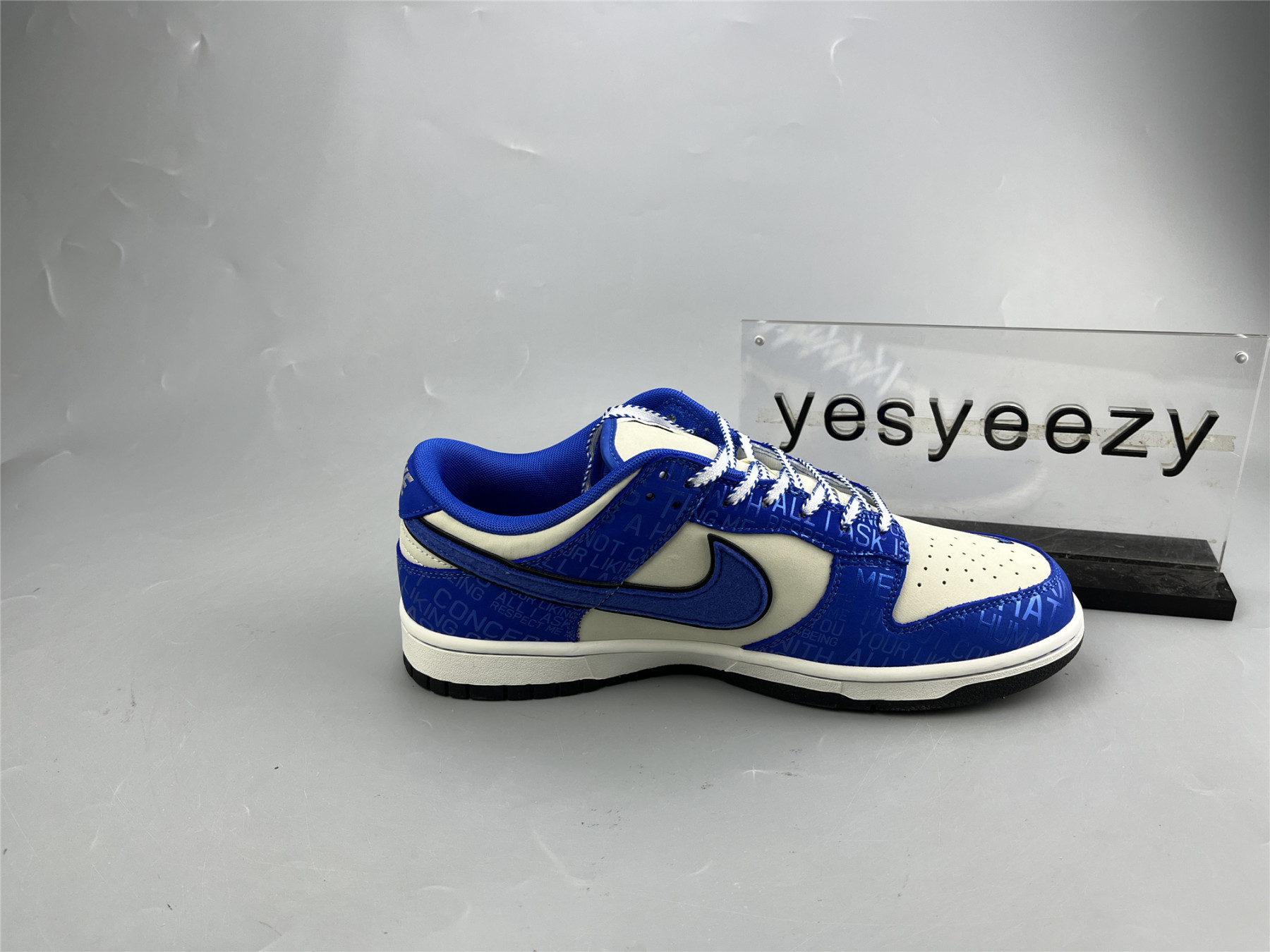 UA NIKE DUNK LOW GS 
