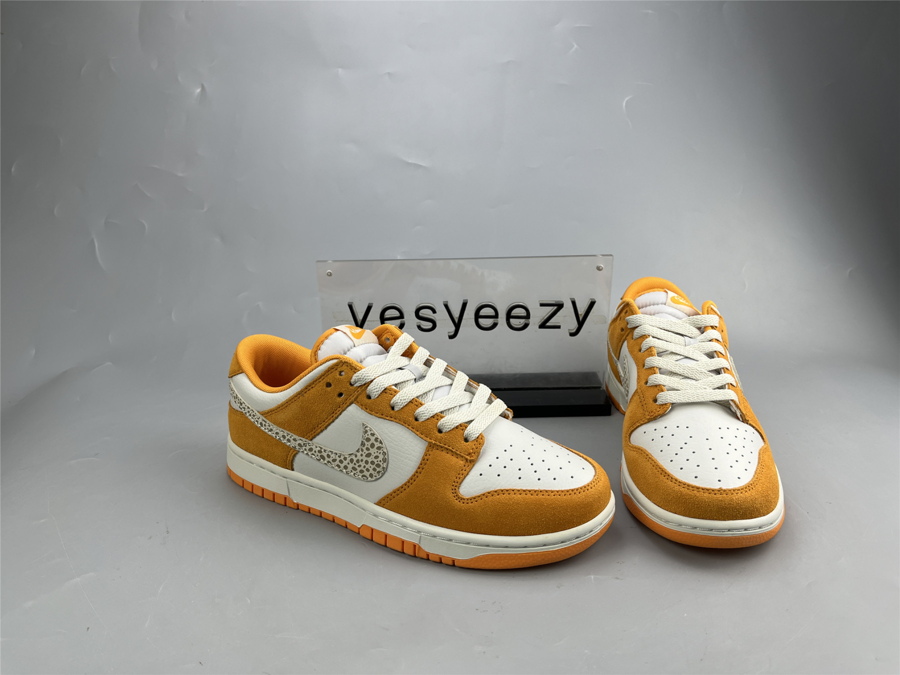 UA NIKE DUNK LOW 