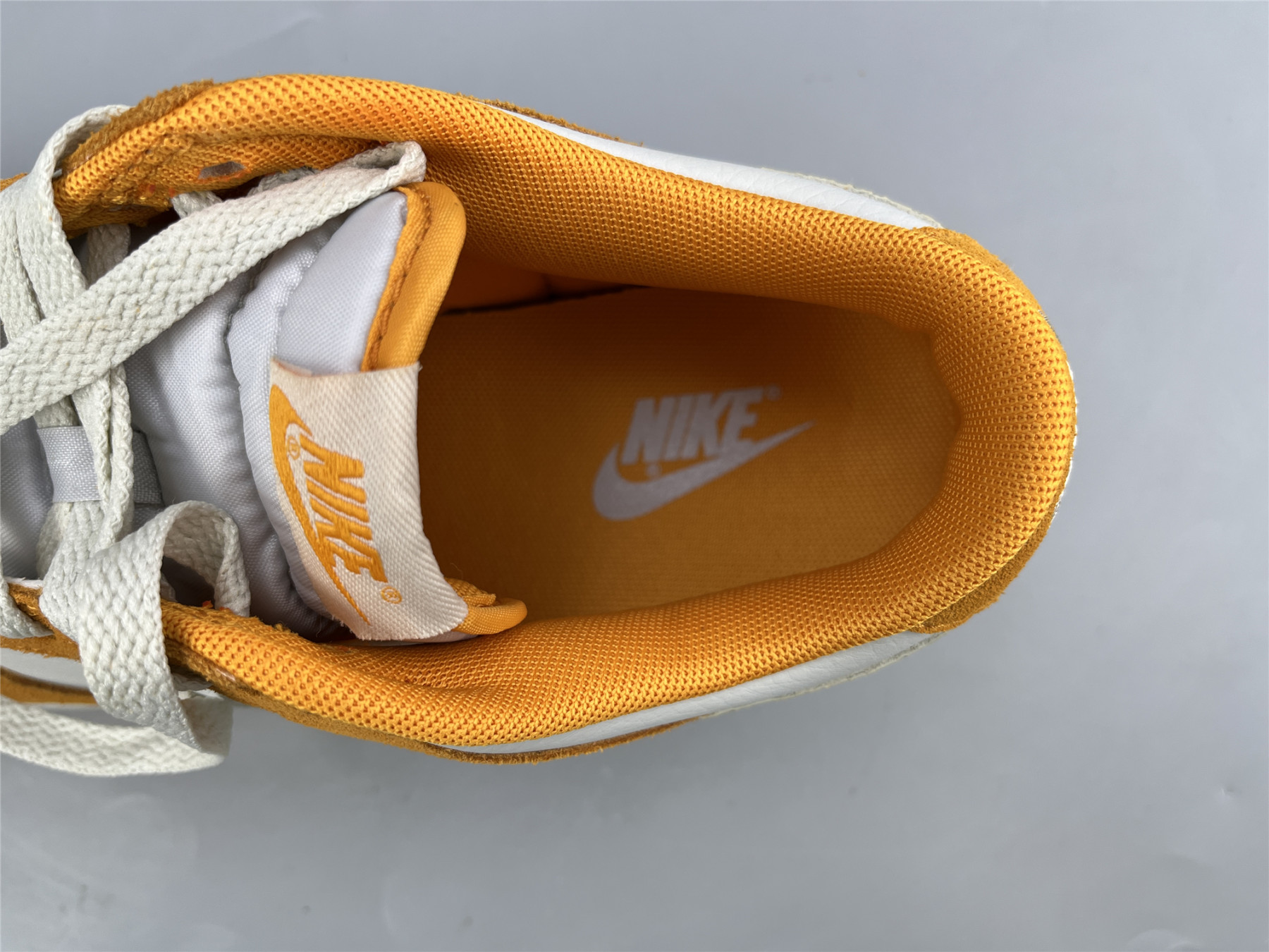 UA NIKE DUNK LOW 