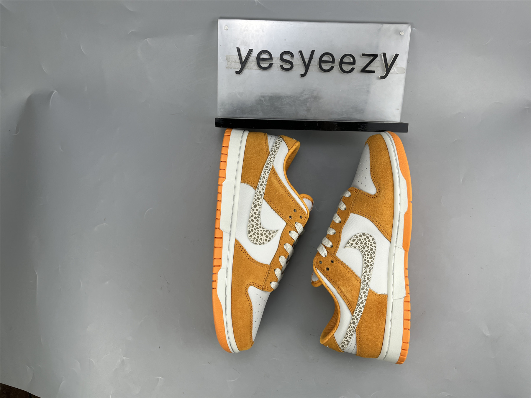 UA NIKE DUNK LOW 