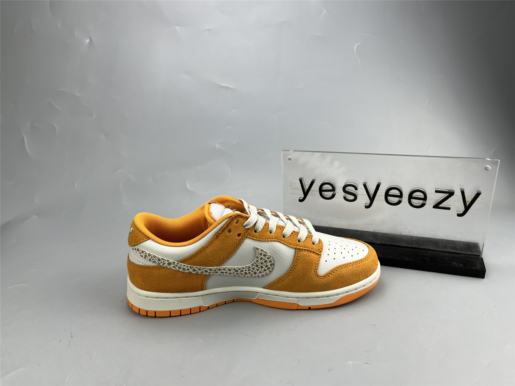 UA NIKE DUNK LOW 