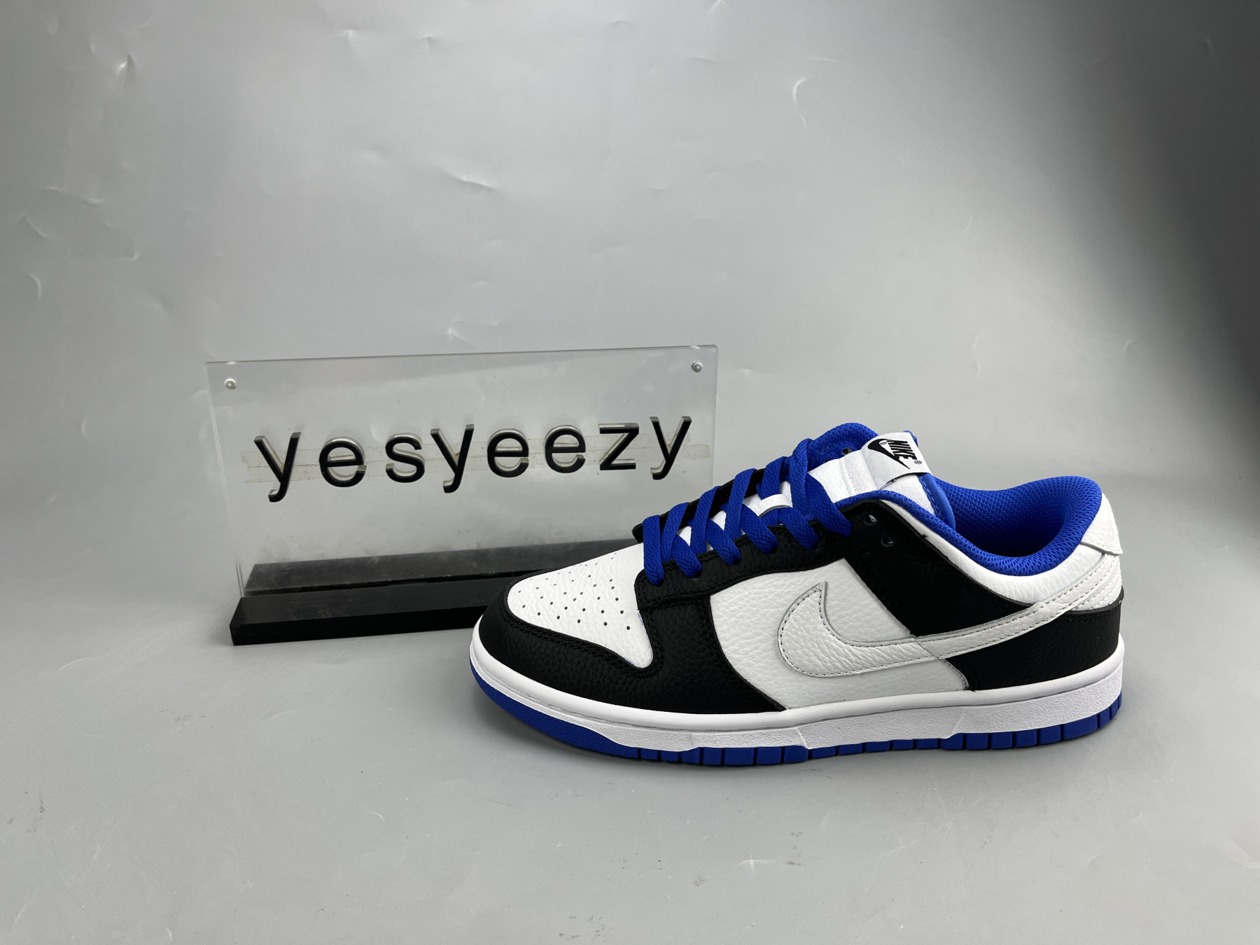 UA NIKE DUNK LOW 