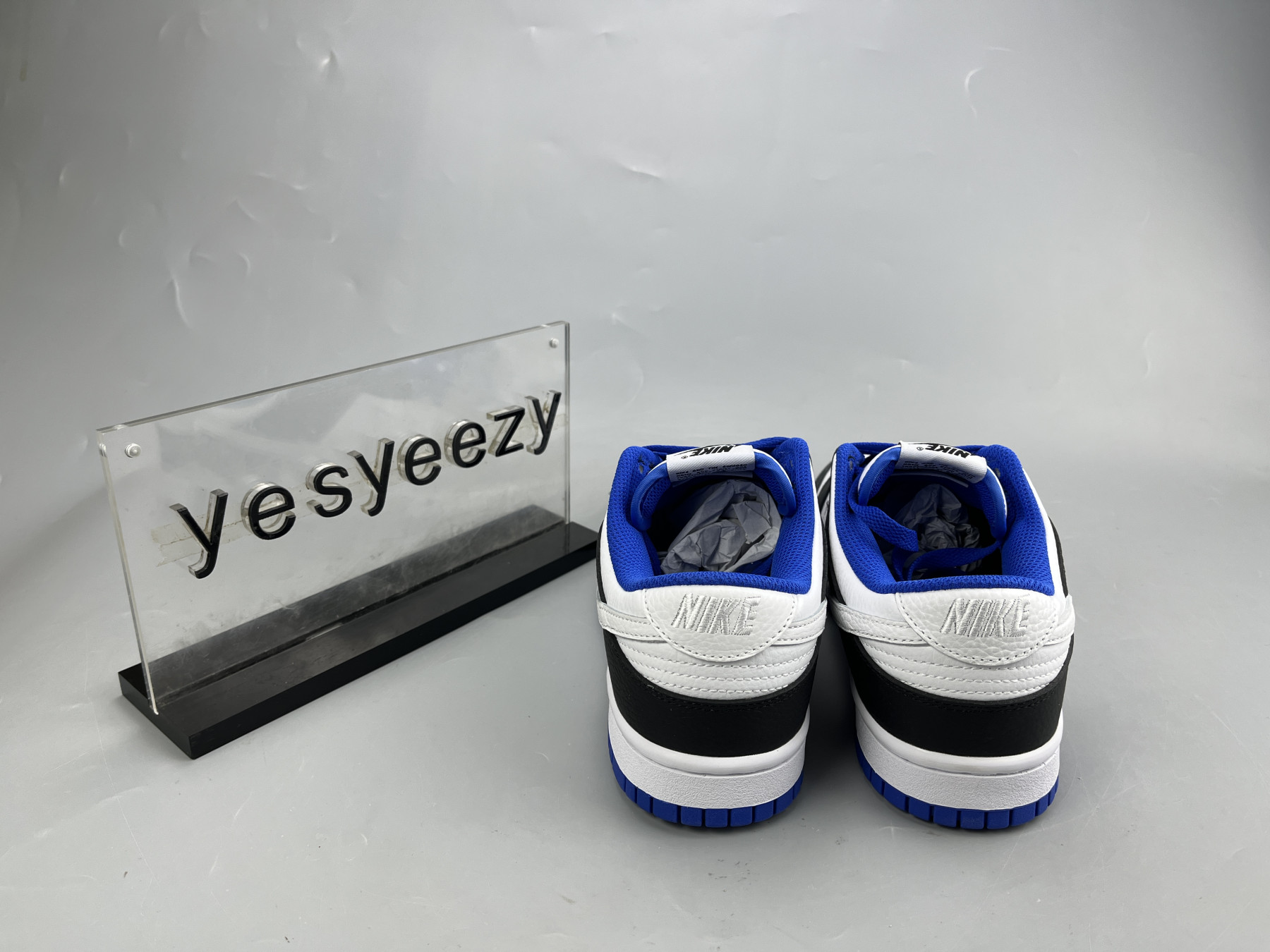 UA NIKE DUNK LOW 