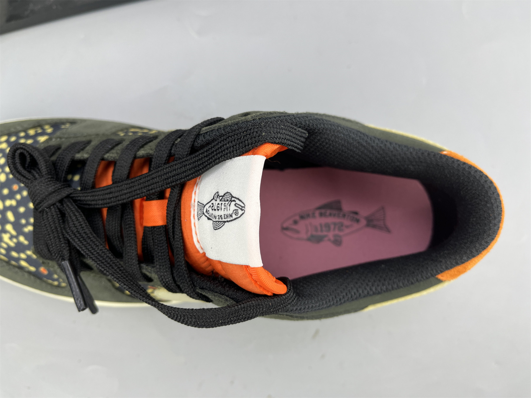 UA NIKE DUNK LOW PRO SAFARI