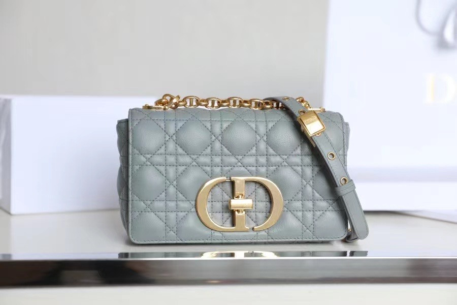 Small D10r CARO BAG