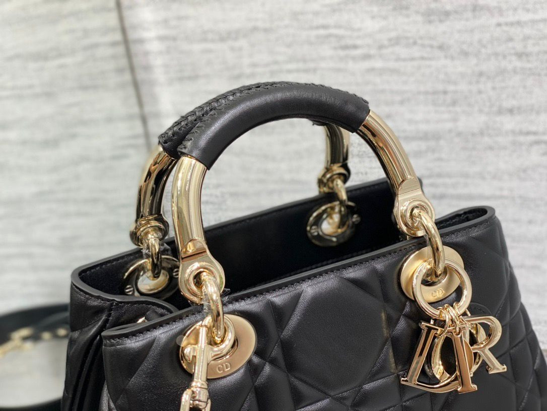 D10r Lady Handbag 24x18x10cm