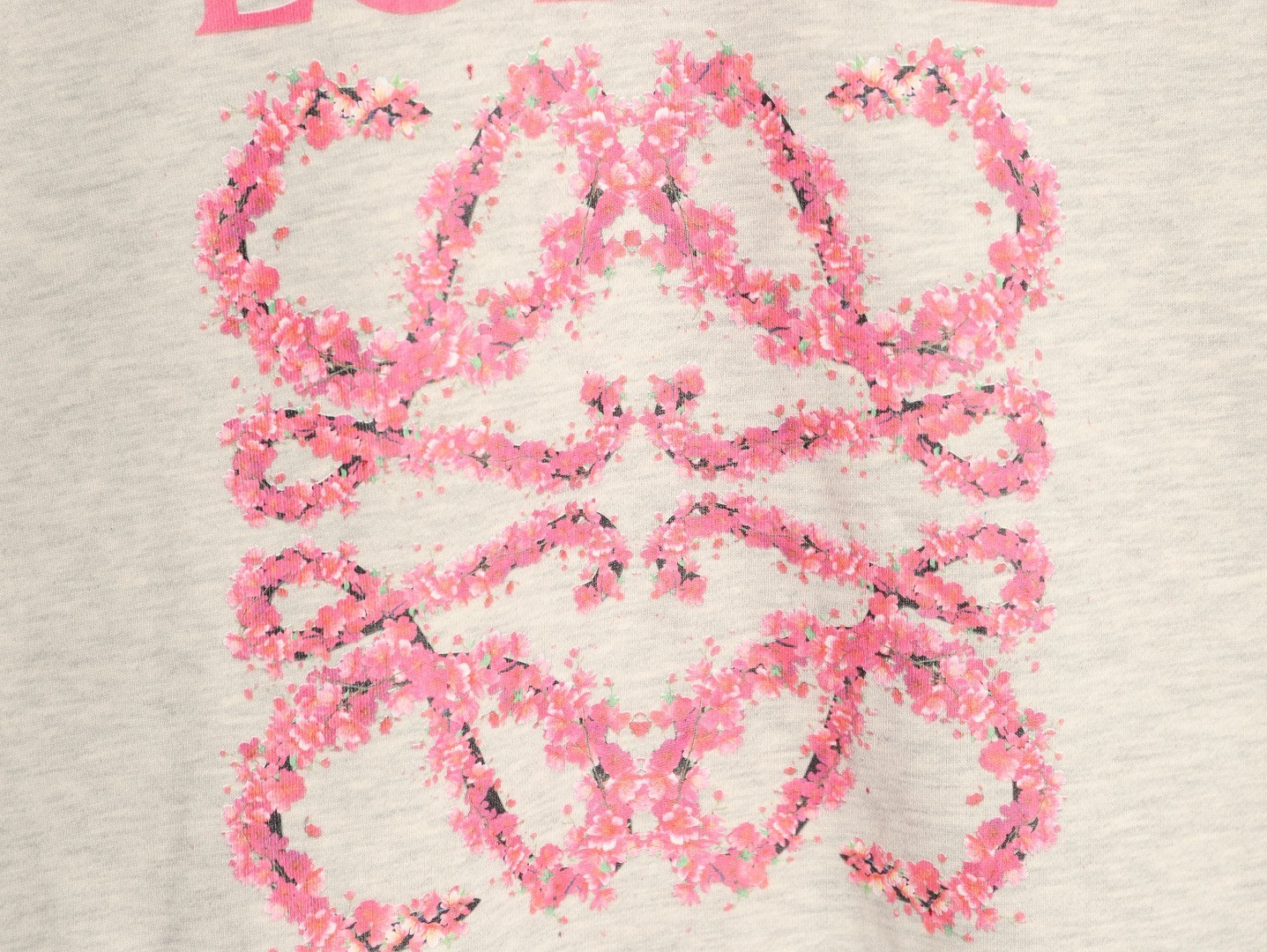 L0ew* 25FW Plush Hoodies