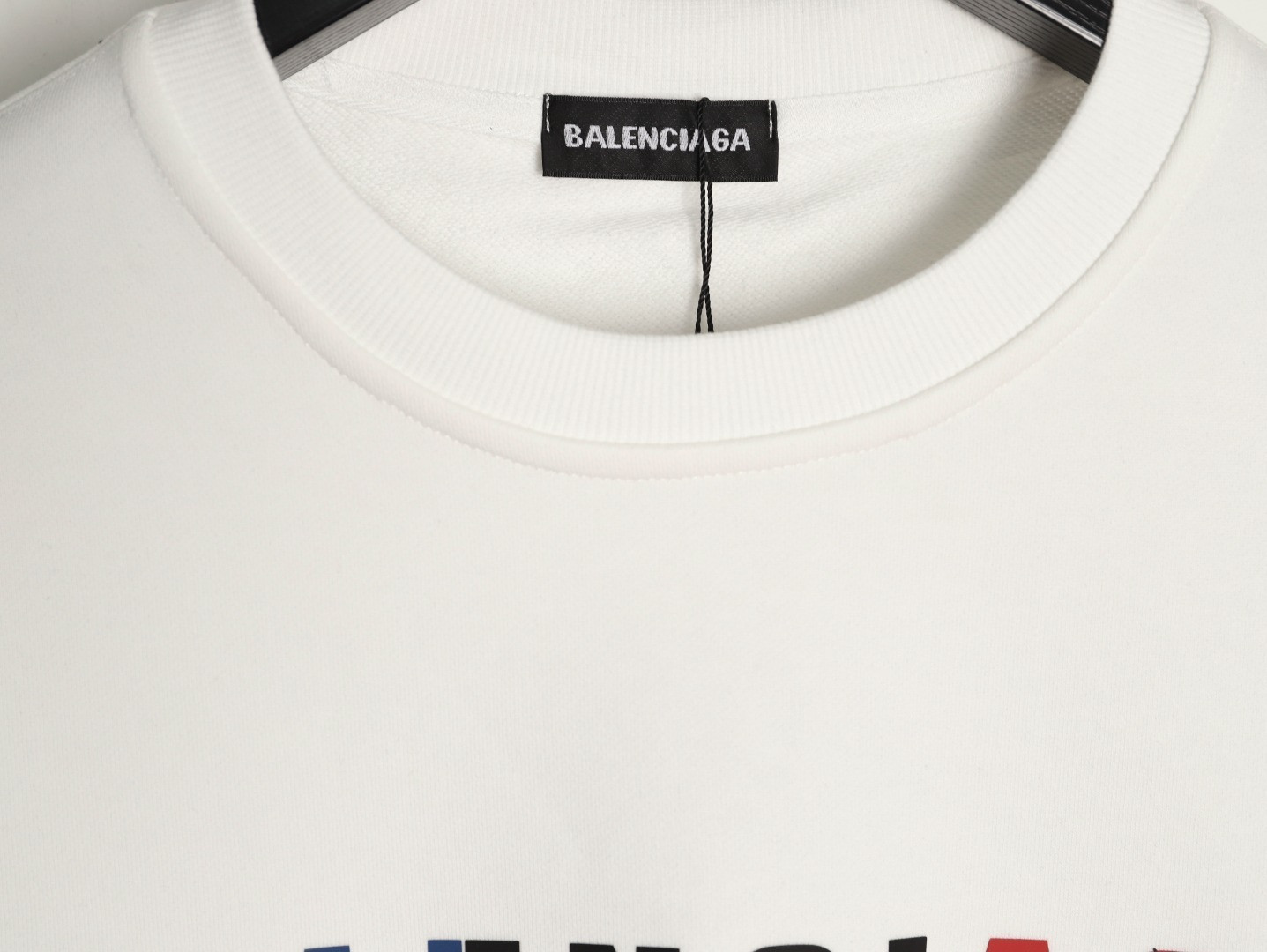 Ba1en*iaga 25FW Hoodies