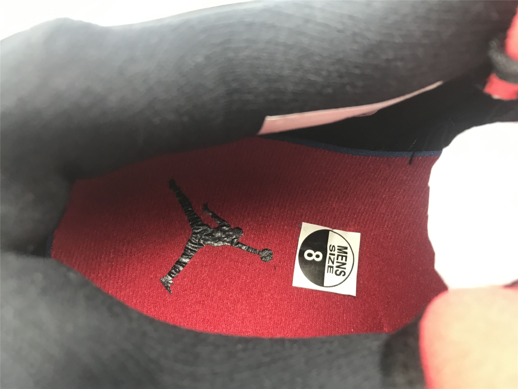 UA AIR JORDAN 4 RETRO NRG "RAPTOR - DRAKE SIGNATURE"