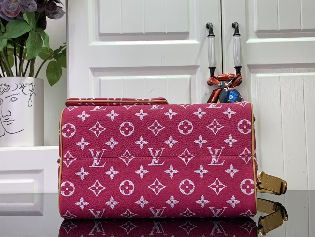 LV Speedy P9 Bandoulière 25 M11563-1