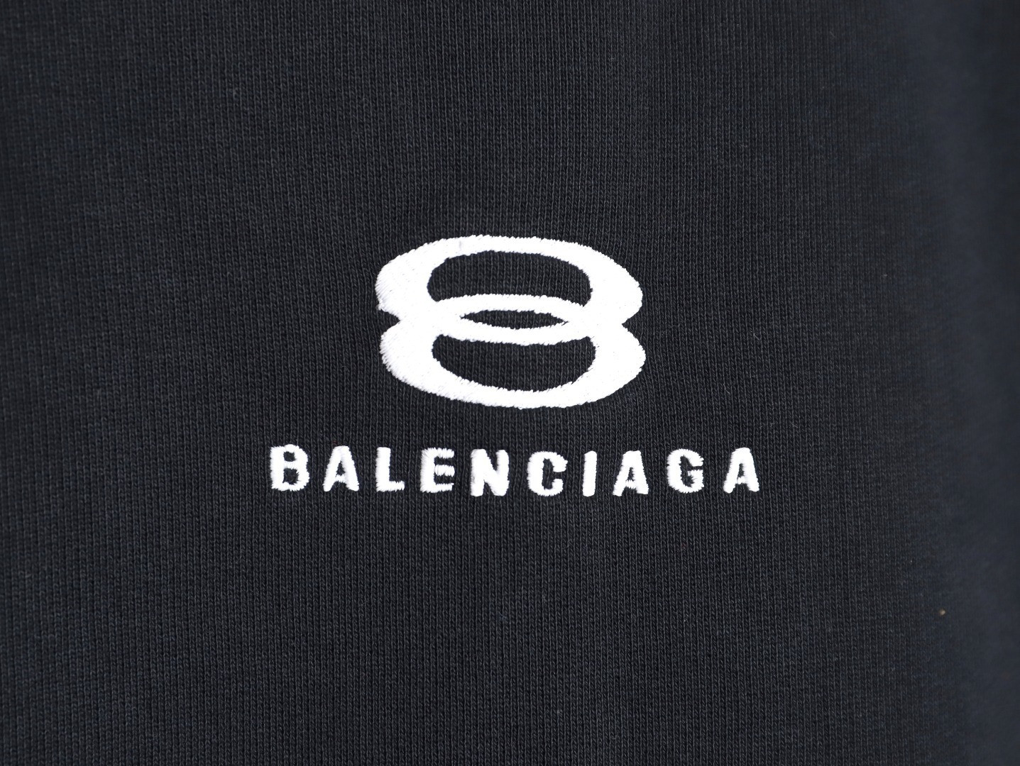 Ba1en*iaga 25FW Hoodies