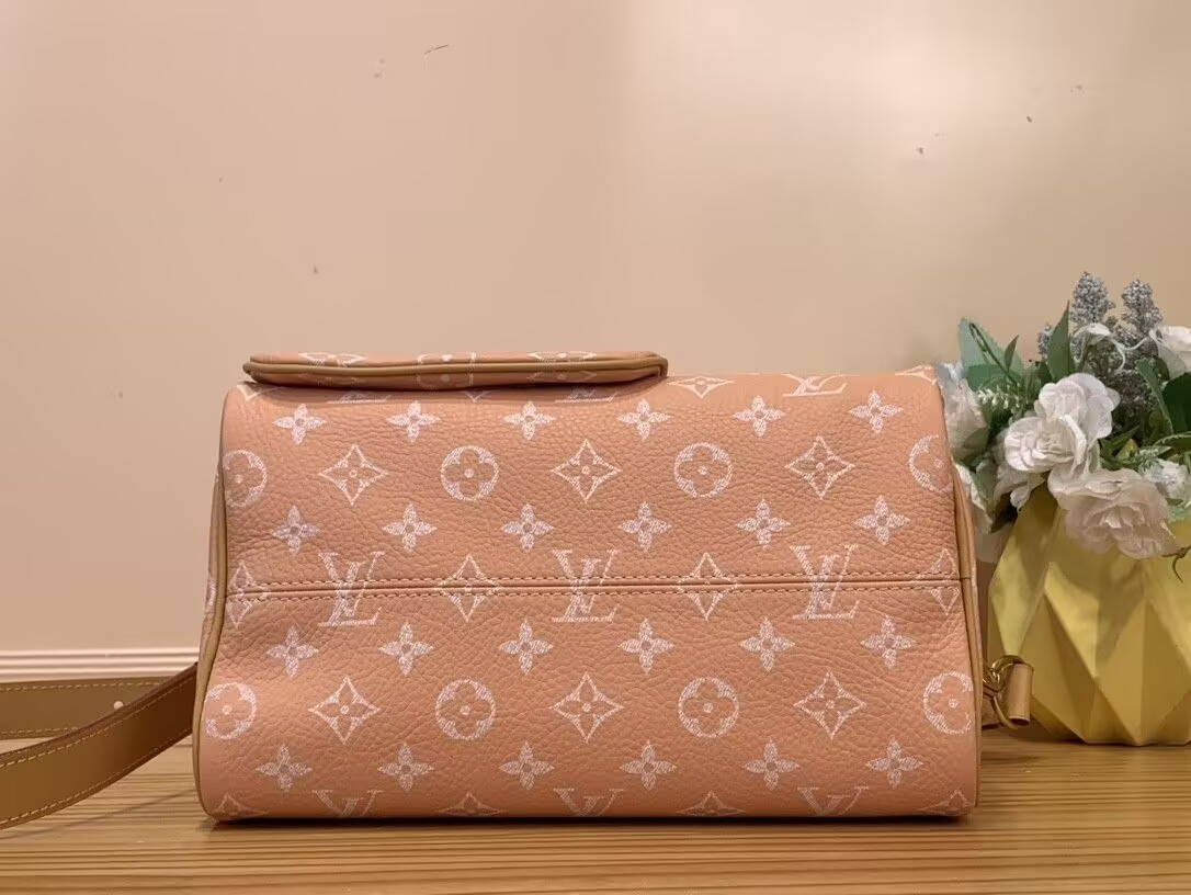 LV Speedy P9 Bandoulière 25 M13912 25x15x15cm