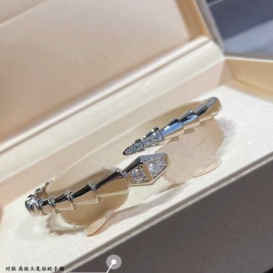 Bv1g*ai snake Bracelet