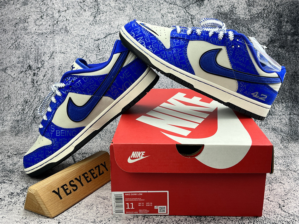 UA NIKE DUNK LOW 