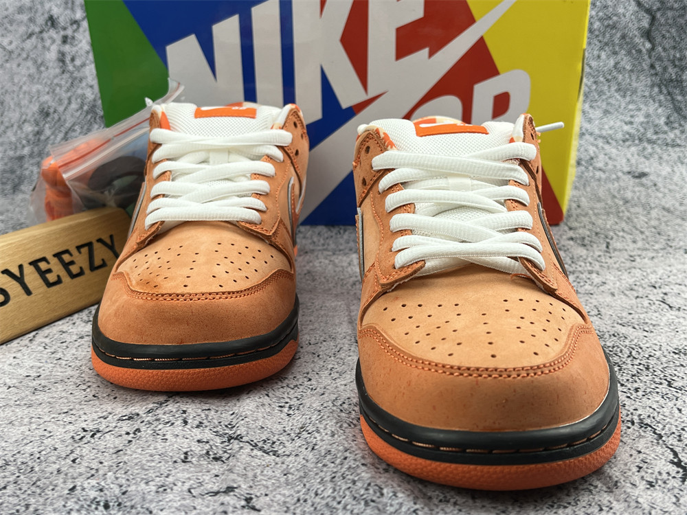 UA NIKE CONCEPTS X DUNK LOW SB 