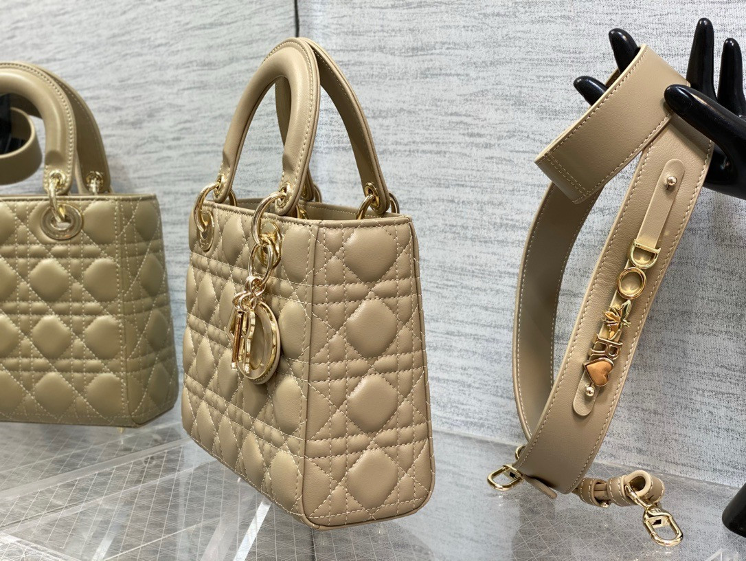 Medium Lady D10r Bag 24 x 20 x 12 cm