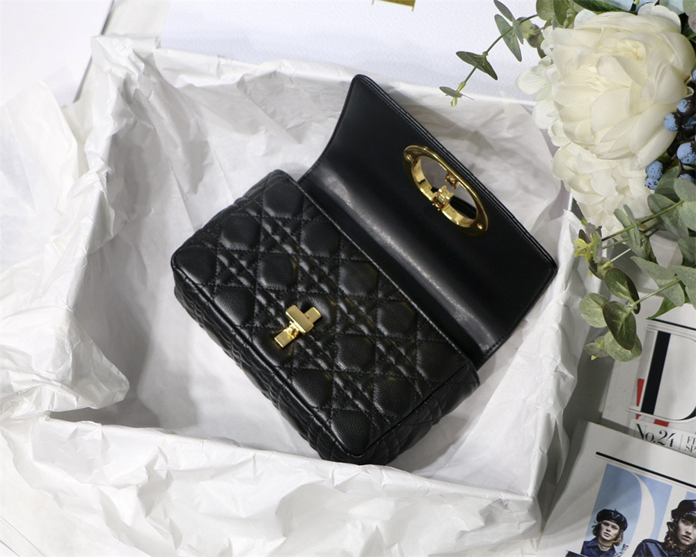 SMALL D10r CARO BAG Black S*pple Cannage Calfskin 20 x 12 x 7 cm