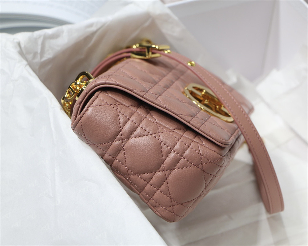 SMALL D10r CARO BAG PINK S*pple Cannage Calfskin With Silver Hardware 20 x 12 x 7 cm