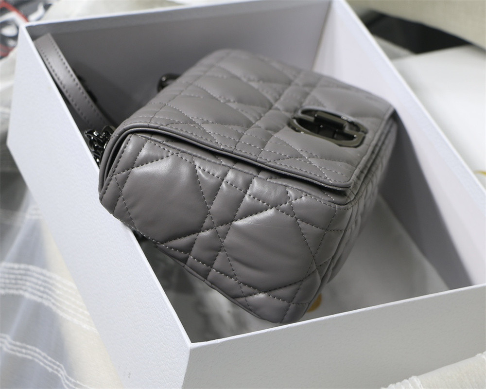 MEDIUM D10r CARO BAG Grey S*pple Cannage Calfskin With Black Hardware 25.5 x 15.5 x 8 cm