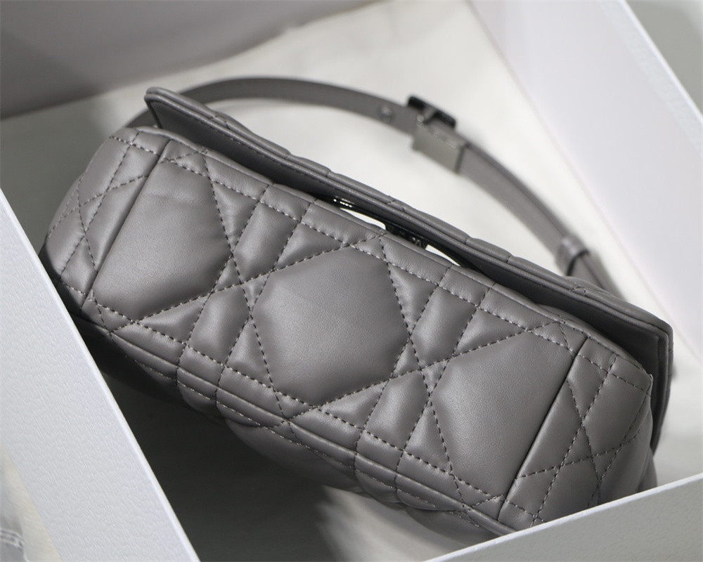 SMALL D10r CARO BAG Grey S*pple Cannage Calfskin With Silver Hardware 20 x 12 x 7 cm