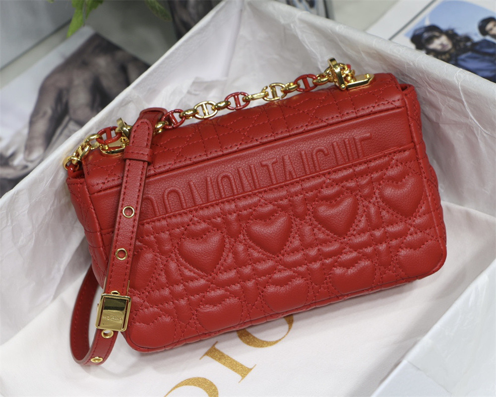 SMALL D10r CARO BAG amour red 20 x 12 x 7 cm