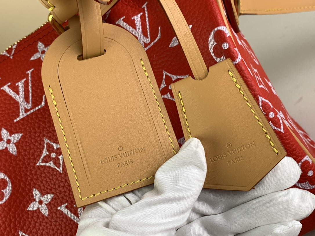 LV SPEEDY BANDOULIÈRE25 M24425