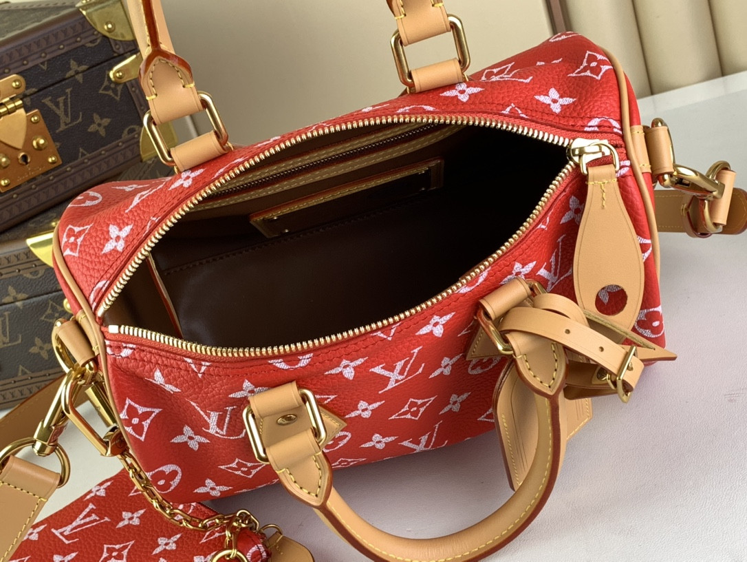 LV SPEEDY BANDOULIÈRE25 M24425