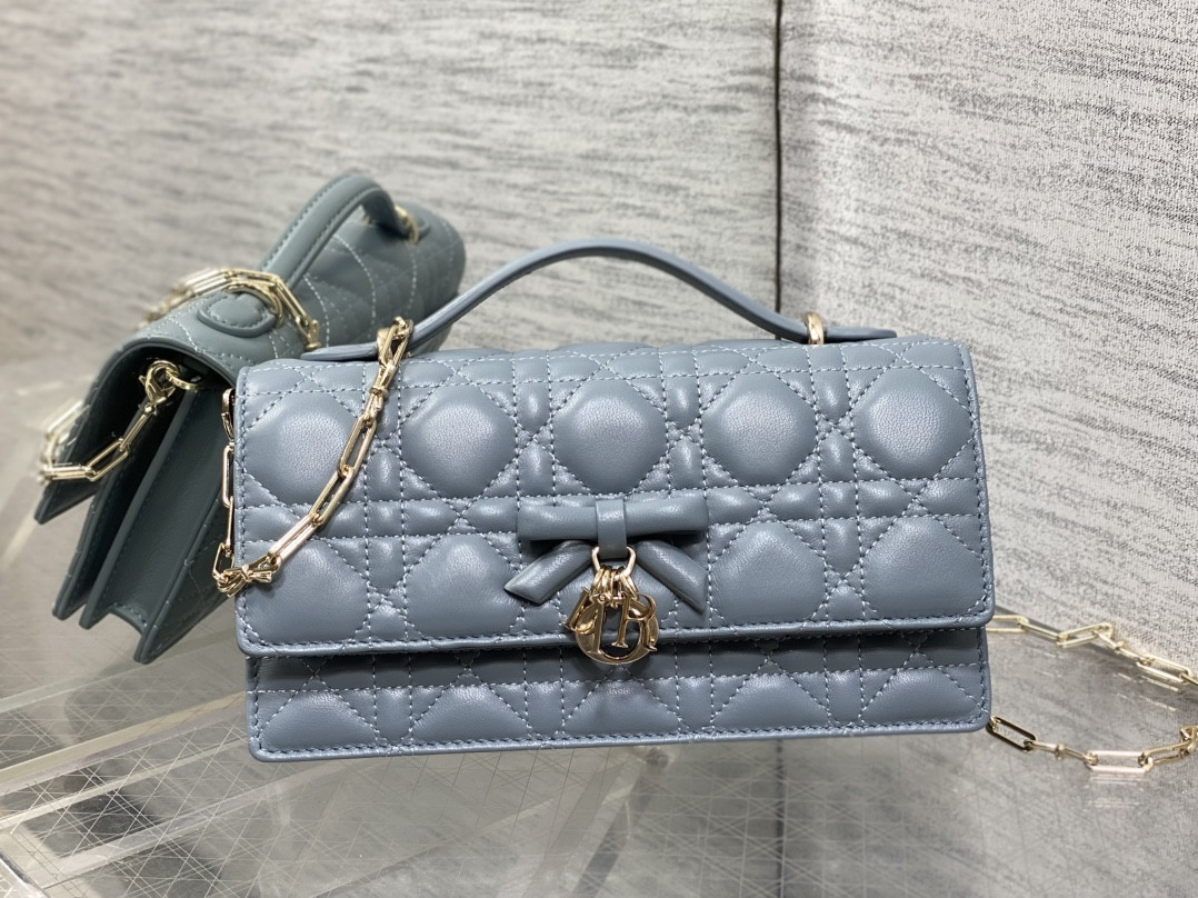 my D10r mini bag 21x11.5x4.5cm
